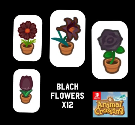 /products/pack-flores-negras-12-pc/